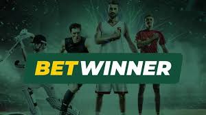 Découvrez le monde des paris avec betwinner 5