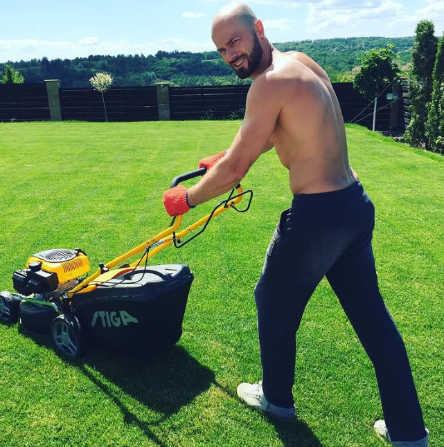 Exploring Betting Odds for Rugby World Cup Strategies and Insights